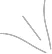 Vector 1